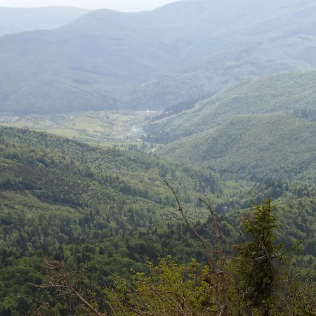 Quelle Hotel Polyana (Transcarpathia)