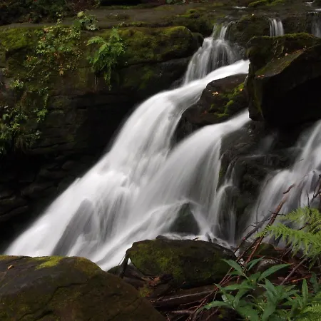 квелле Поляна