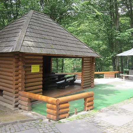 Quelle Hotel Polyana (Transcarpathia)