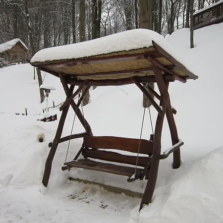 Quelle Polyana (Transcarpathia)