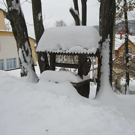 Quelle Hotel Polyana (Transcarpathia)