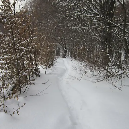 Отель квелле Поляна