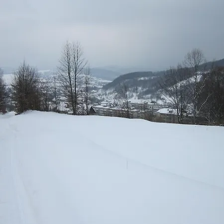 Quelle Polyana (Transcarpathia)