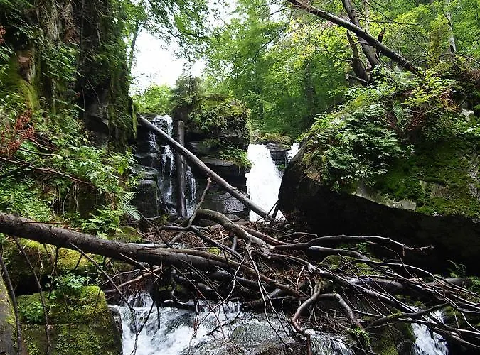 酒店 克勒波利亚纳酒店