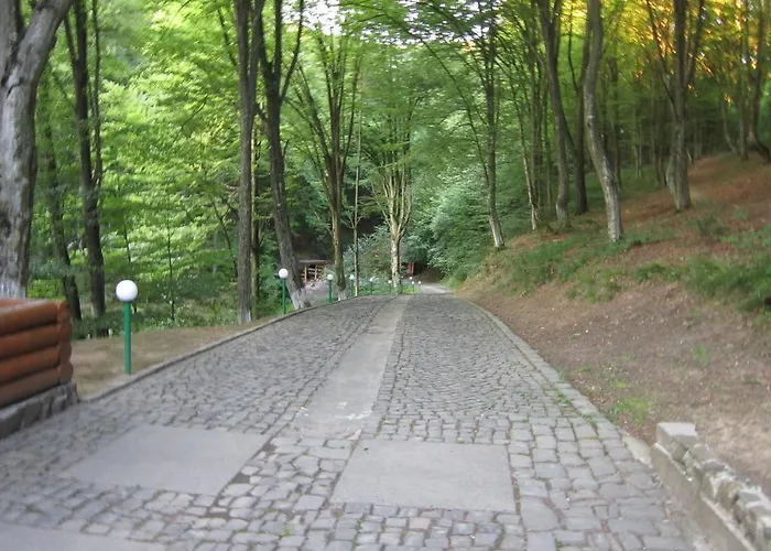 酒店 克勒波利亚纳酒店 *