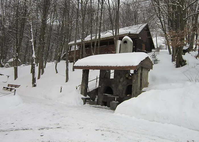 克勒波利亚纳酒店 酒店 *
