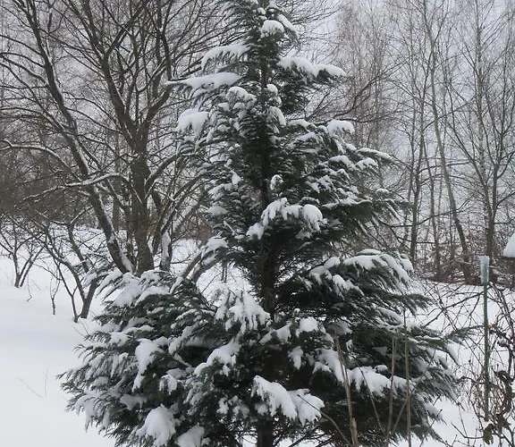 克勒波利亚纳酒店 *