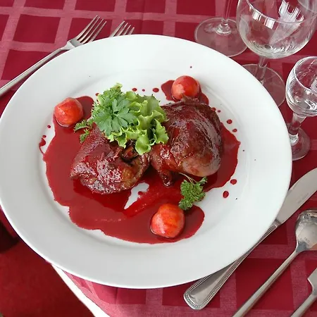 酒店 克勒波利亚纳酒店 *