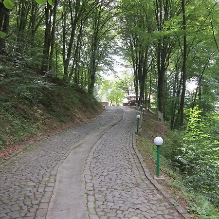 酒店 克勒波利亚纳酒店 *