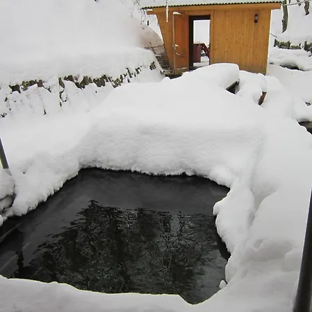 克勒波利亚纳酒店 酒店