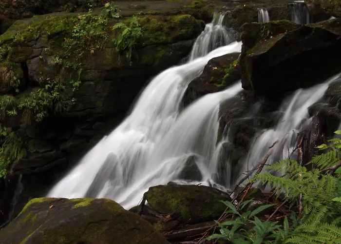 Quelle Polyana (Transcarpathia)