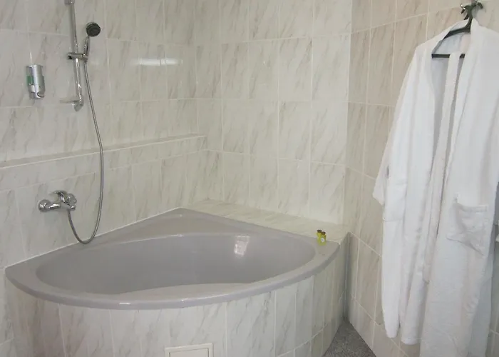 Hotel Quelle Polyana (Transcarpathia)