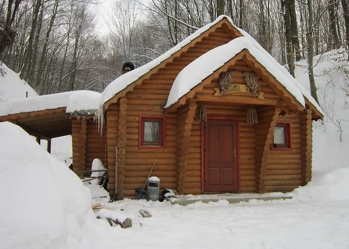 Quelle Polyana (Transcarpathia)