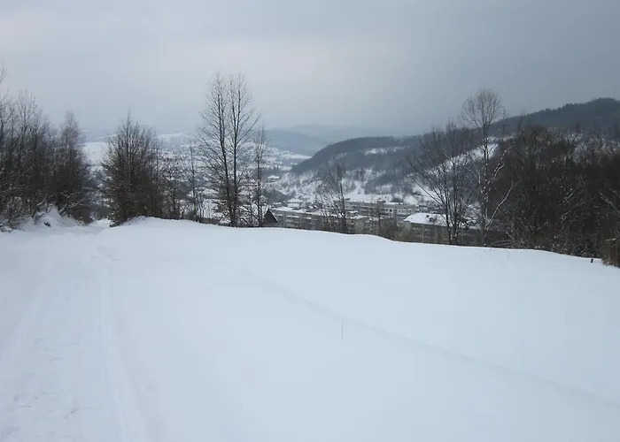 Quelle Polyana (Transcarpathia)